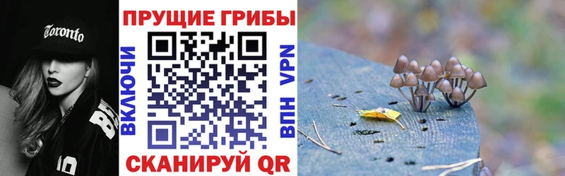 Галлюциногенные грибы MAGIC MUSHROOMS  Майский 